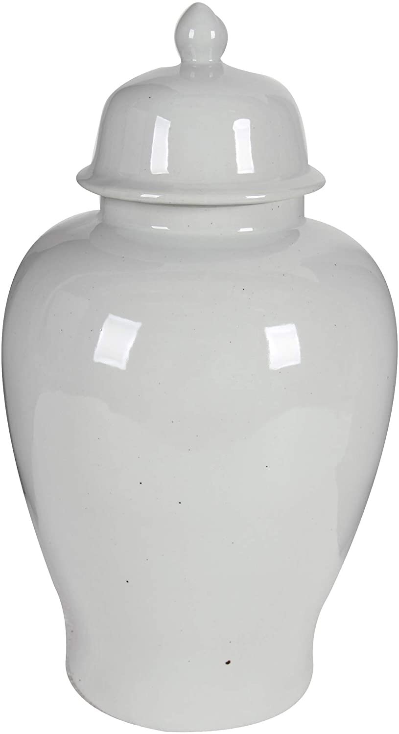 Benjara, White Benzara BM165658 Ceramic Ginger Jar with Lid - amazon.jpg