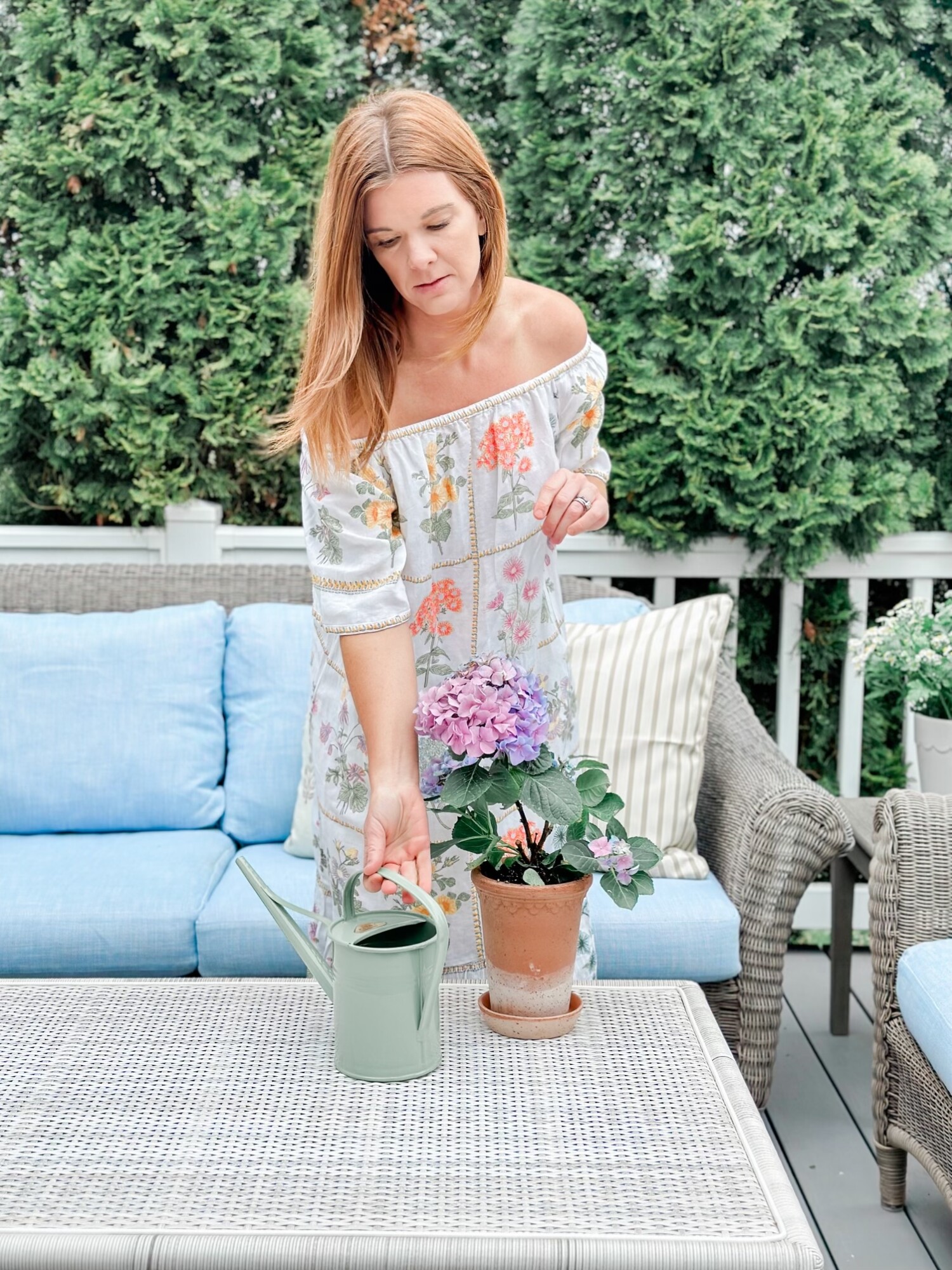 Patio Refresh for Spring - Margaret of York